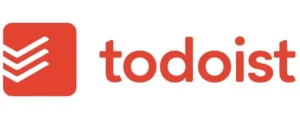 Todoist application for smart watche