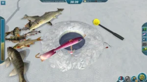 Top 15 Best Fishing Games for Android